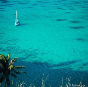 Akamaru26052018-IMG_0104