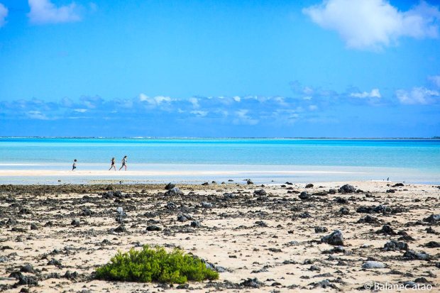 Makemo30062018-IMG_0099