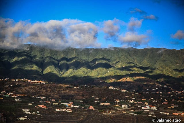 42749800010 10797eeddc z