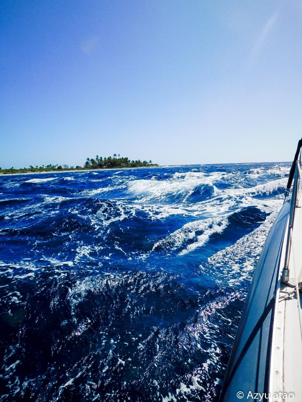 649382E4-78F2-47D3-9D90-3CE171067ED9