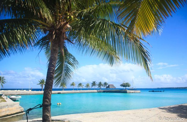 8F2AB8A1-B480-4F0E-8904-C52DCDBD80DC