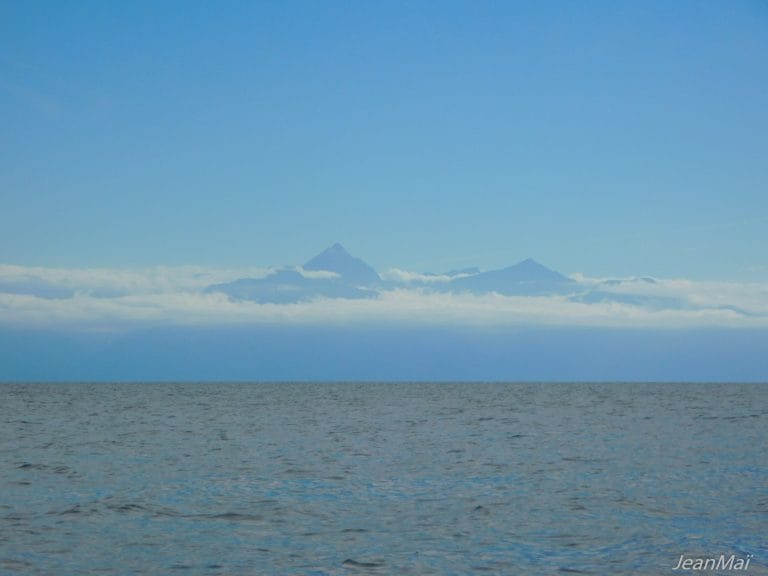Iles Honduras14122017-DSCN1996