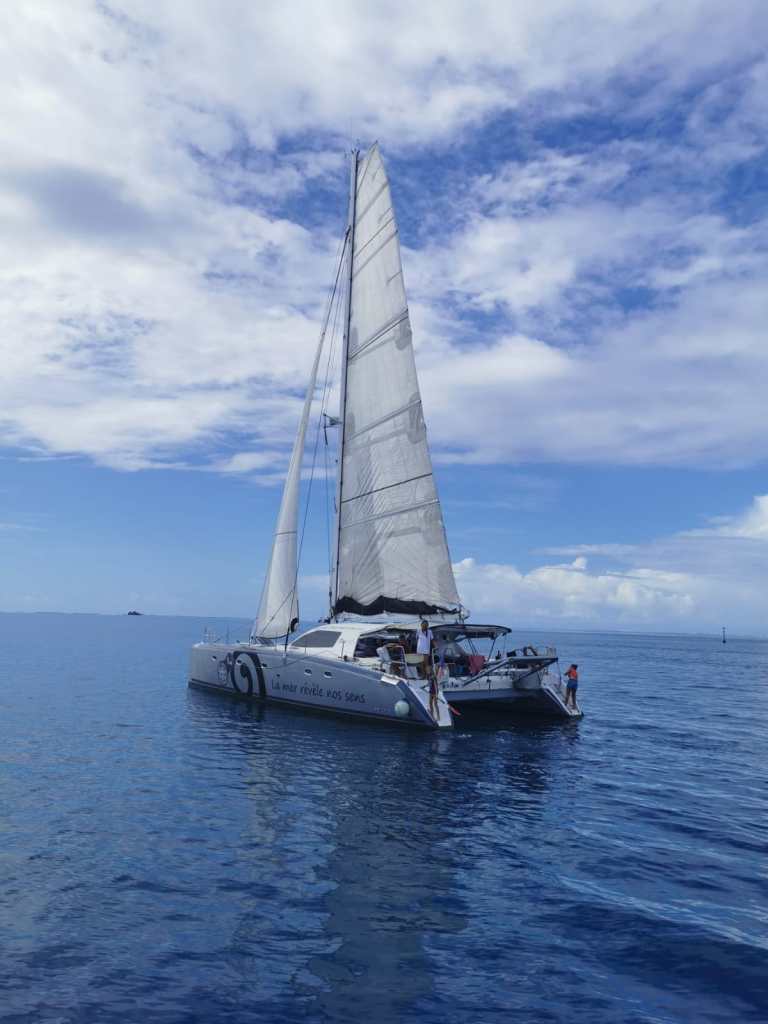    T cup 2022   Une Régate à Voile Et à Rame