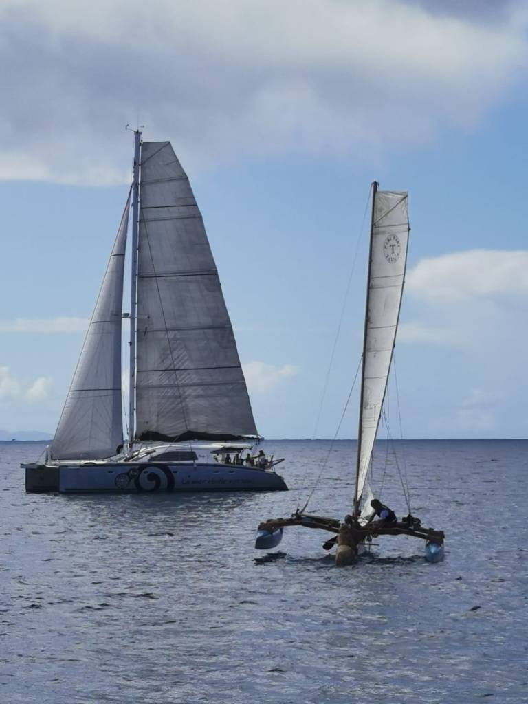    T cup 2022   Une Régate à Voile Et à Rame