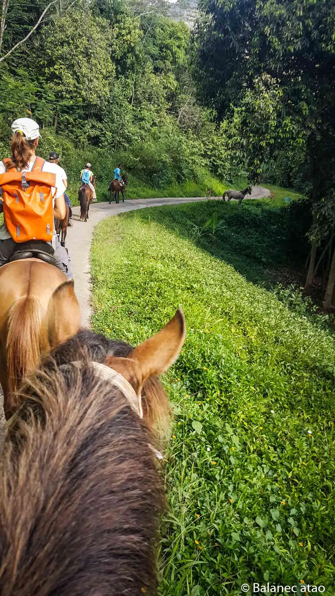    Hiva Oa à Cheval