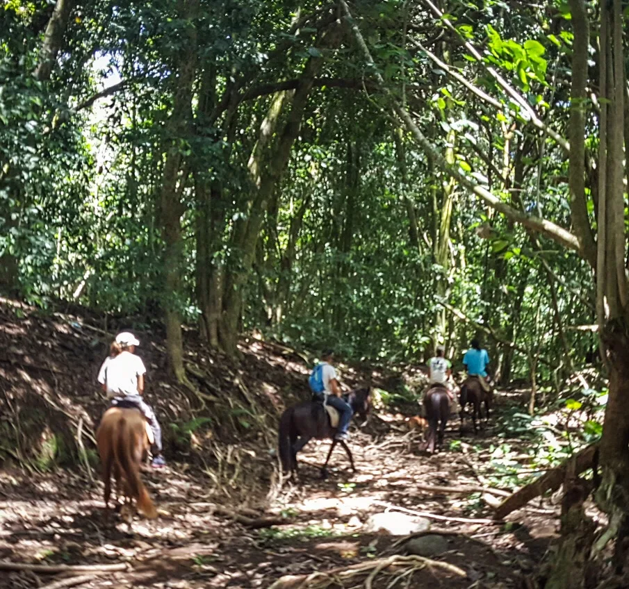    Hiva Oa à Cheval