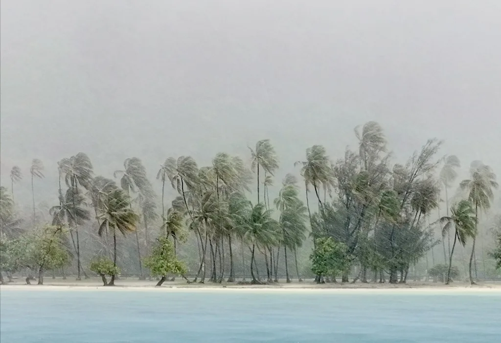 Oznorco   Tahiti En Saison Des Pluies  Une Polynésie Bretonne 