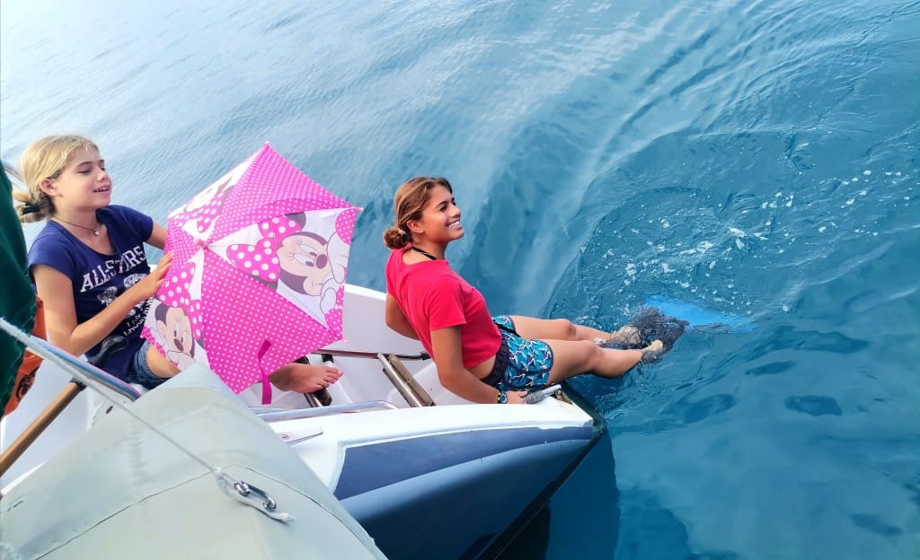    T cup 2022   Une Régate à Voile Et à Rame