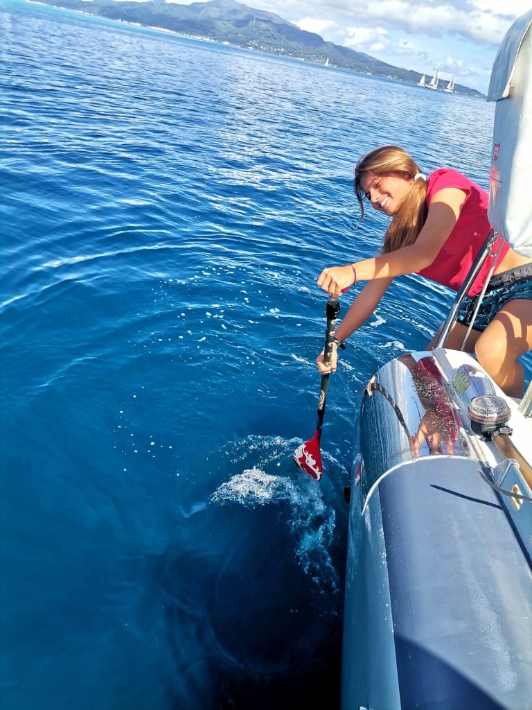    T cup 2022   Une Régate à Voile Et à Rame