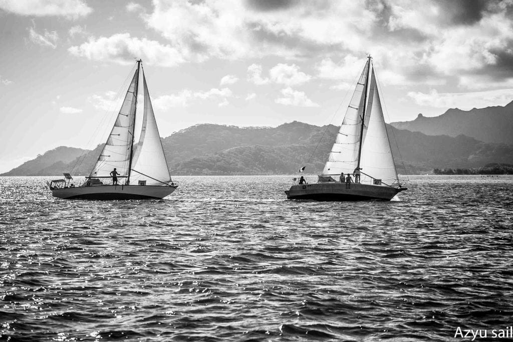    T cup 2022   Une Régate à Voile Et à Rame