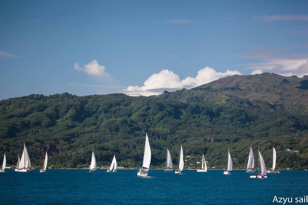    T cup 2022   Une Régate à Voile Et à Rame