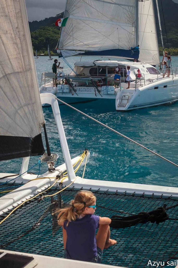    T cup 2022   Une Régate à Voile Et à Rame