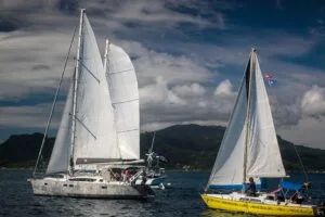 Sailboats with tall white sails on calm water, a bright yellow boat with passengers nearby, and hilly coastline in the background under a cloudy sky.