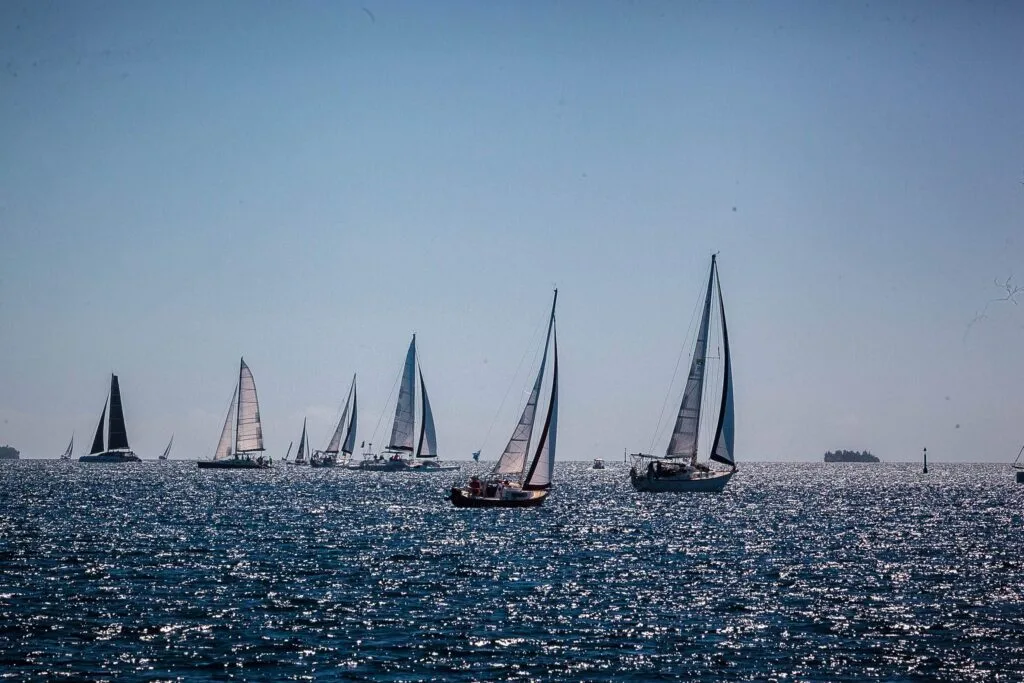 Fleet of Sailboats with Tall Masts on a Shimmering Sea Under a Clear Blue Sky Tcupimg_3117-2026 Tcupimg 3117 2026 Régate La T cup Fête Ses 40 Ans